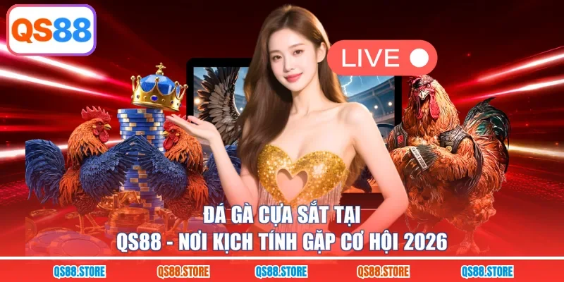 Đá Gà Cựa Sắt Tại QS88 - Nơi Kịch Tính Gặp Cơ Hội 2026