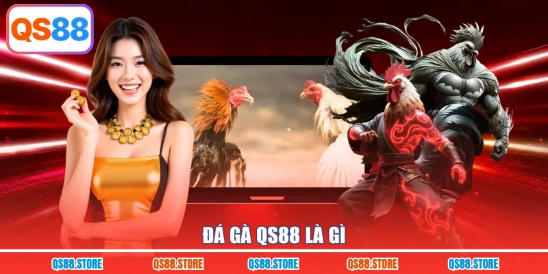 Đá gà QS88 là gì