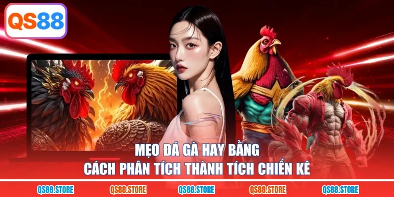 Mẹo đá gà hay bằng cách phân tích thành tích chiến kê