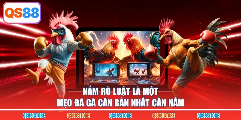 Nắm rõ luật là một mẹo đá gà căn bản nhất cần nắm