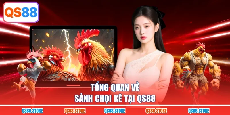 Tổng quan về sảnh chọi kê tại QS88